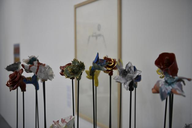 image gallery
