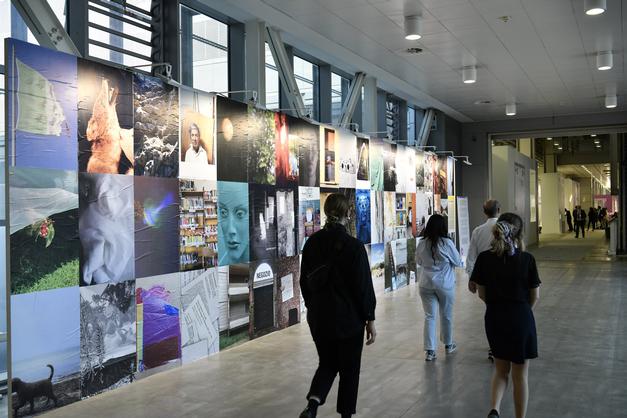 image gallery