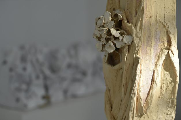 image gallery