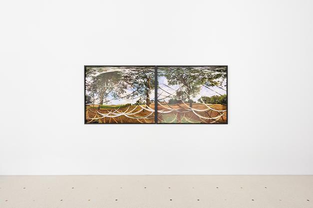 image gallery