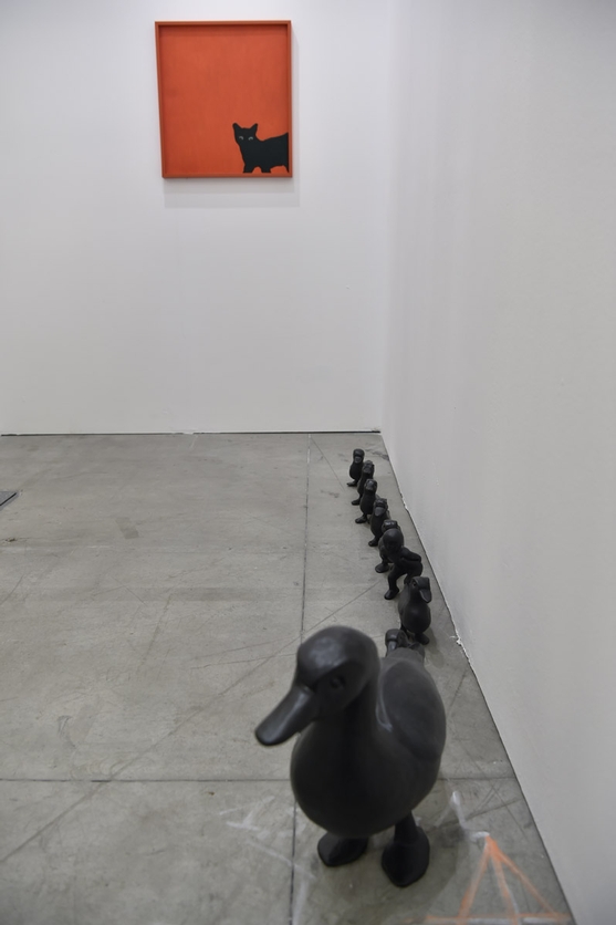 image gallery