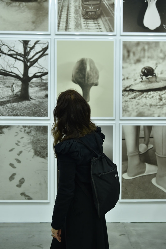 image gallery