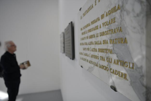 image gallery