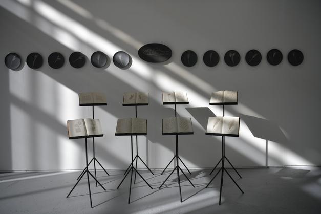 image gallery