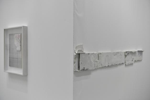 image gallery