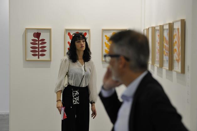 image gallery