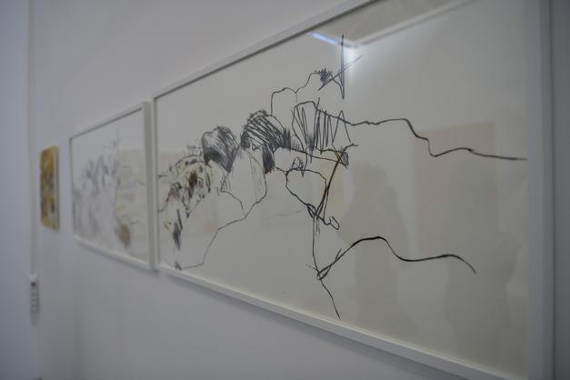 image gallery