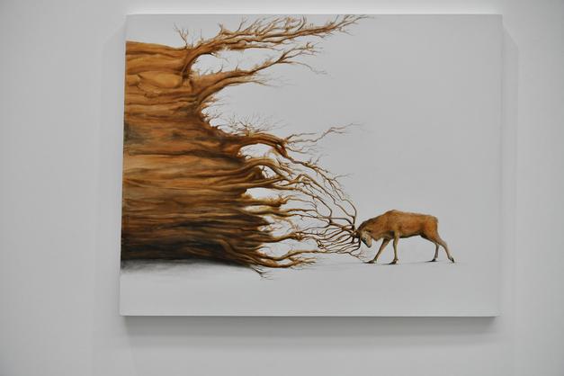 image gallery