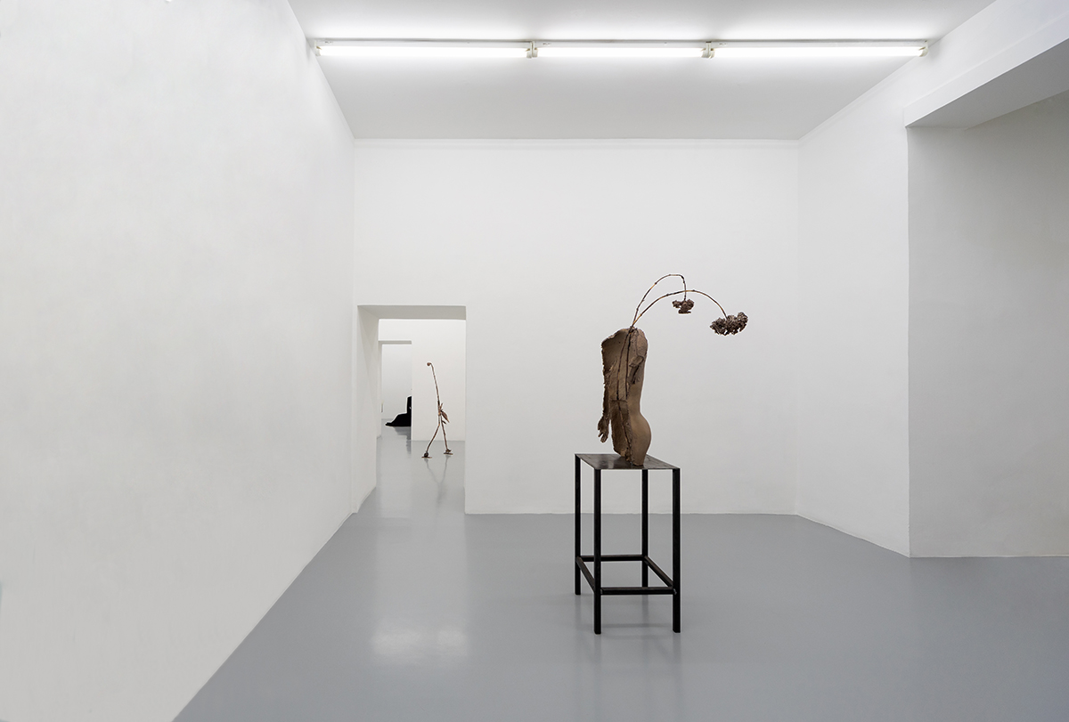 Luca Francesconi, Hormone Disruptors, 2021, vista della mostra a Umberto Di Marino Gallery, ph. Danilo Donzelli