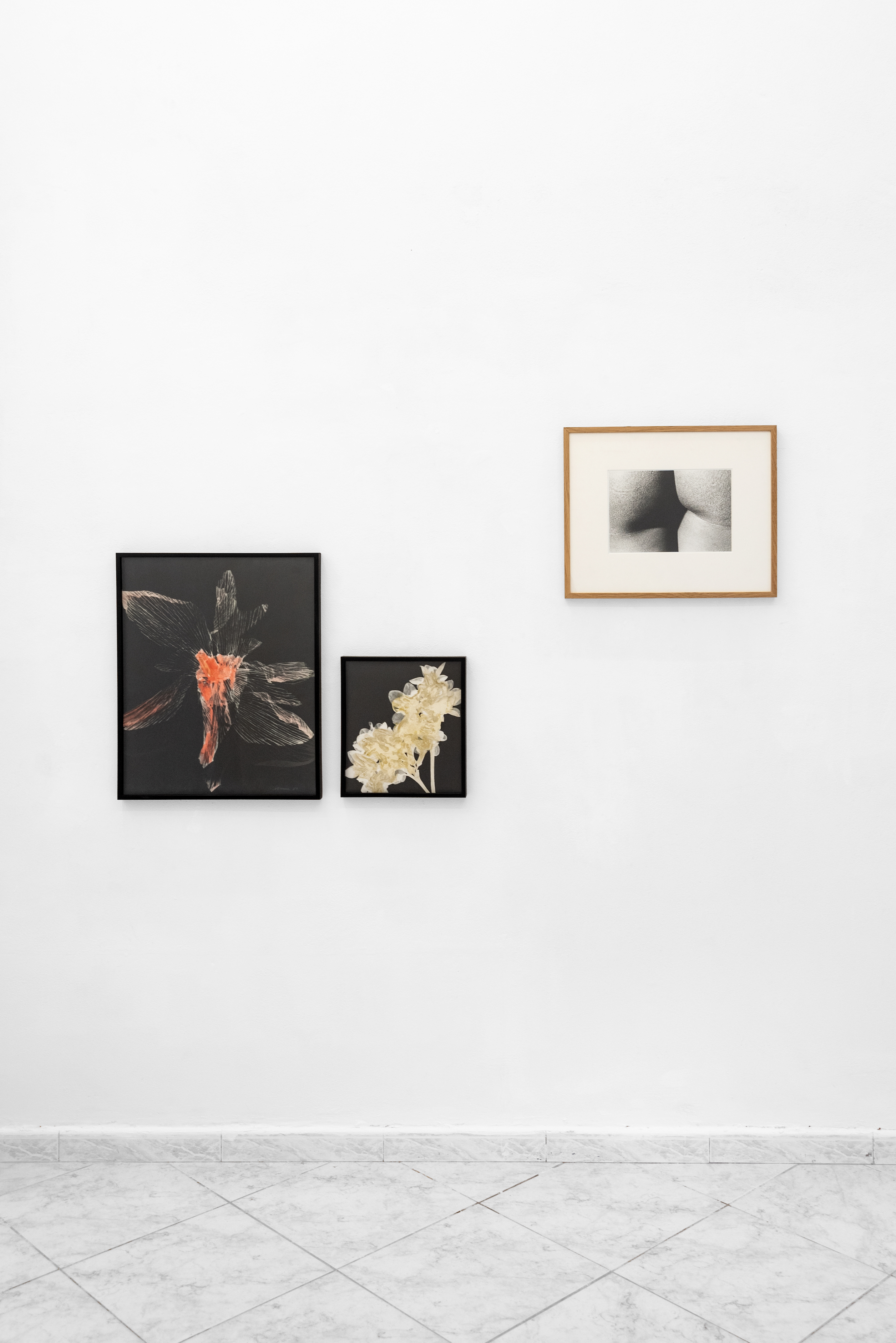 Yehuda Neiman. Femme Paysage et Fleurs, installation view